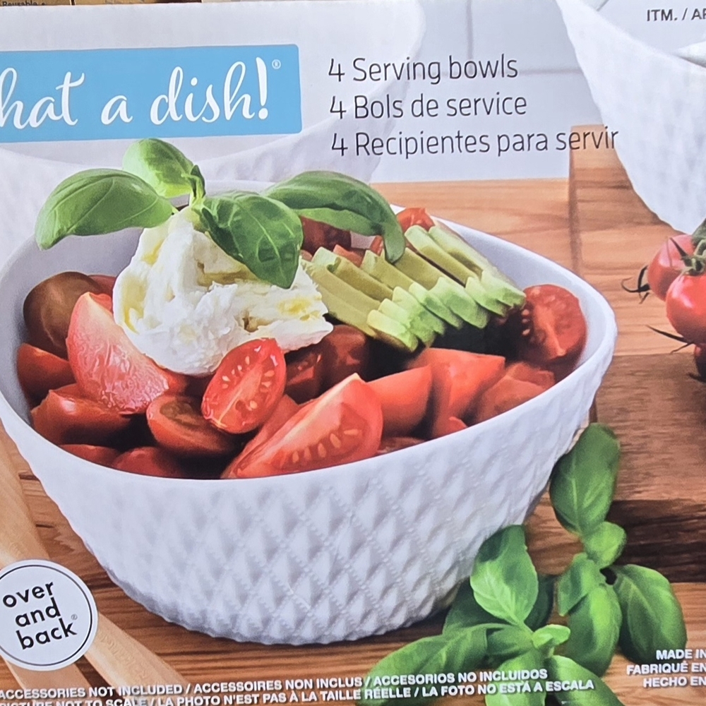 Over & Back 4-Piece 'What A Dish' Porcelain Bowl Set, White